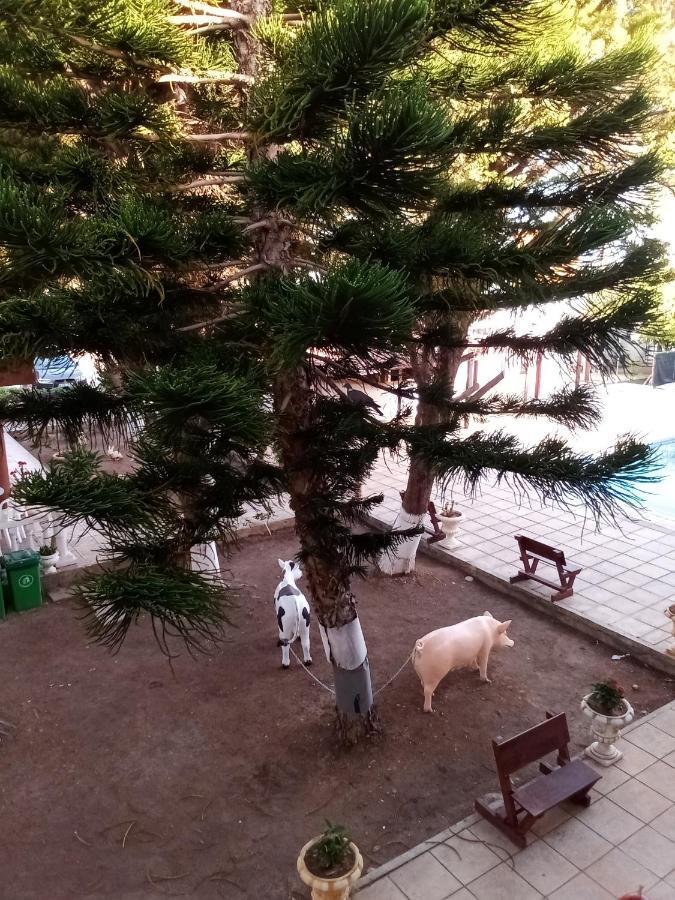 Anastasia Holiday Apartments Pafos Dış mekan fotoğraf